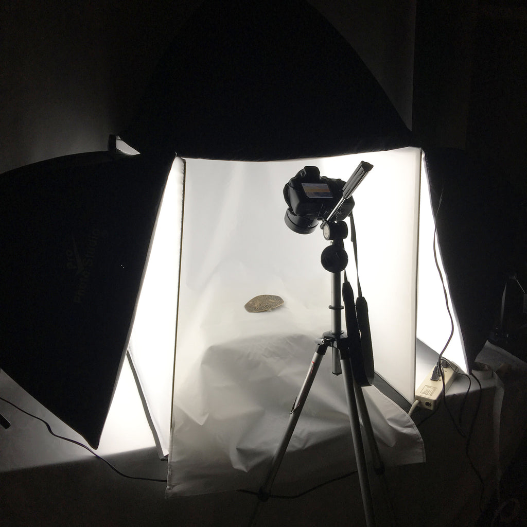 My new light box photo studio